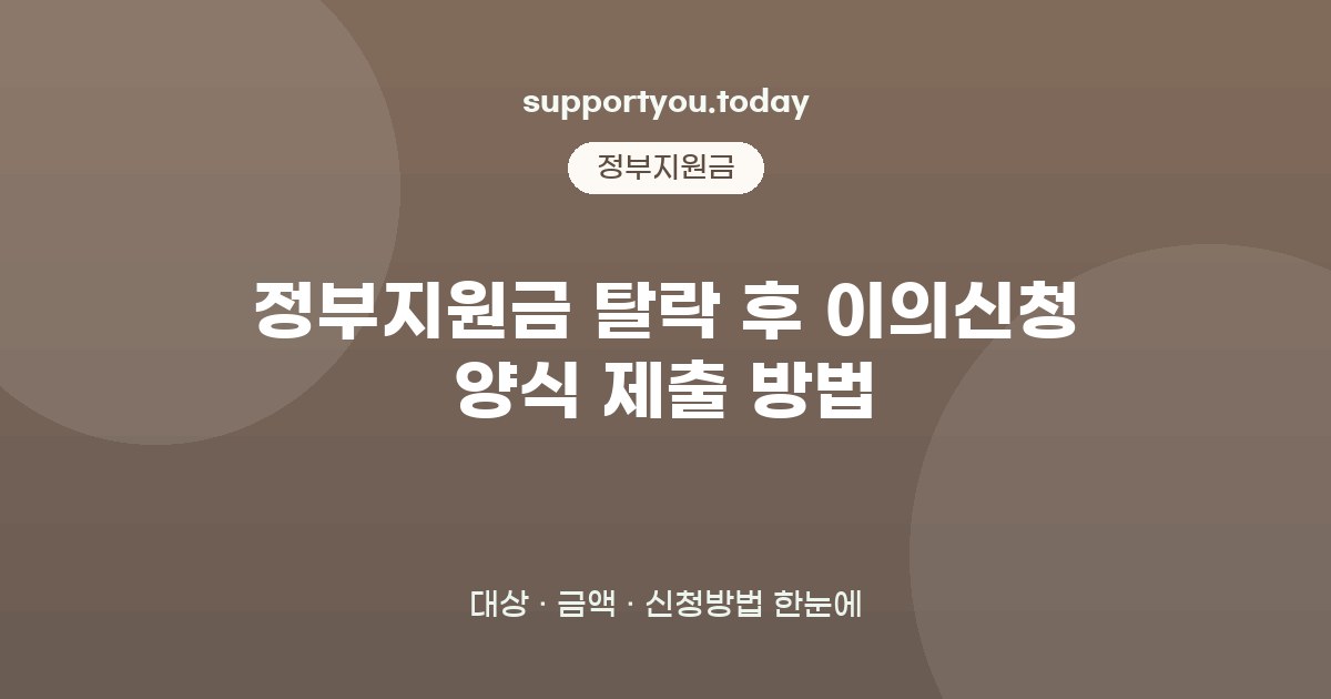 정부지원금 탈락 후 이의신청 양식 제출 방법 총정리: 대상·금액·신청방법
